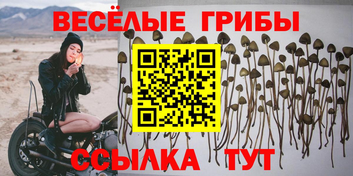Псилоцибиновые грибы мухоморы  Псилоцибиновые грибы ЛСД  Невинномысск  Вход с VPN 