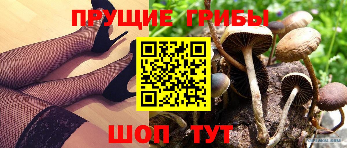 Галлюциногенные грибы мухоморы Невинномысск