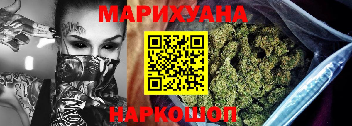 Конопля сатива Невинномысск